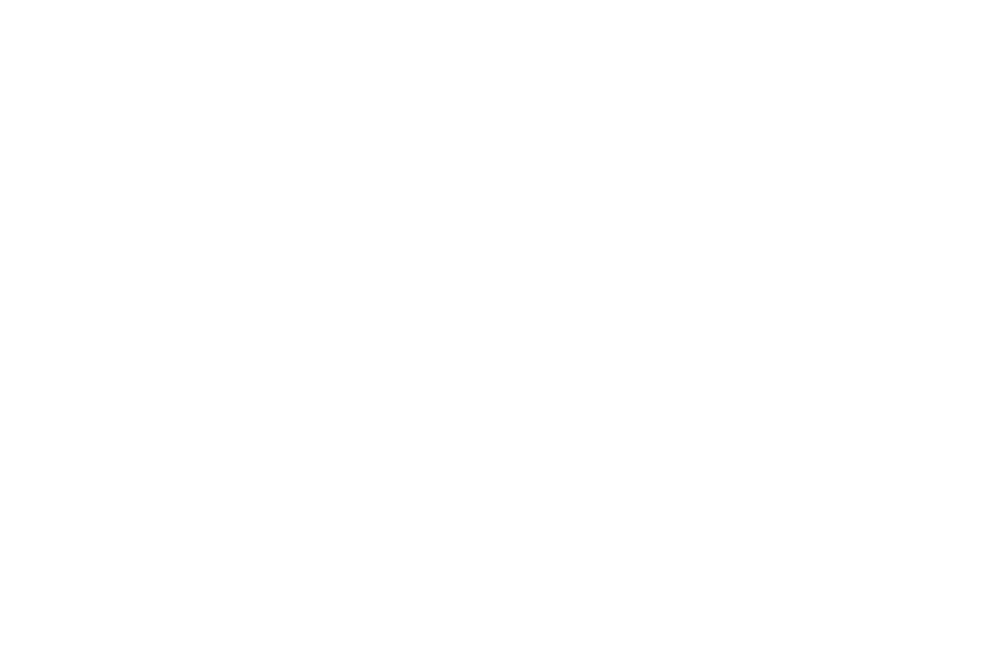 expert talking badge